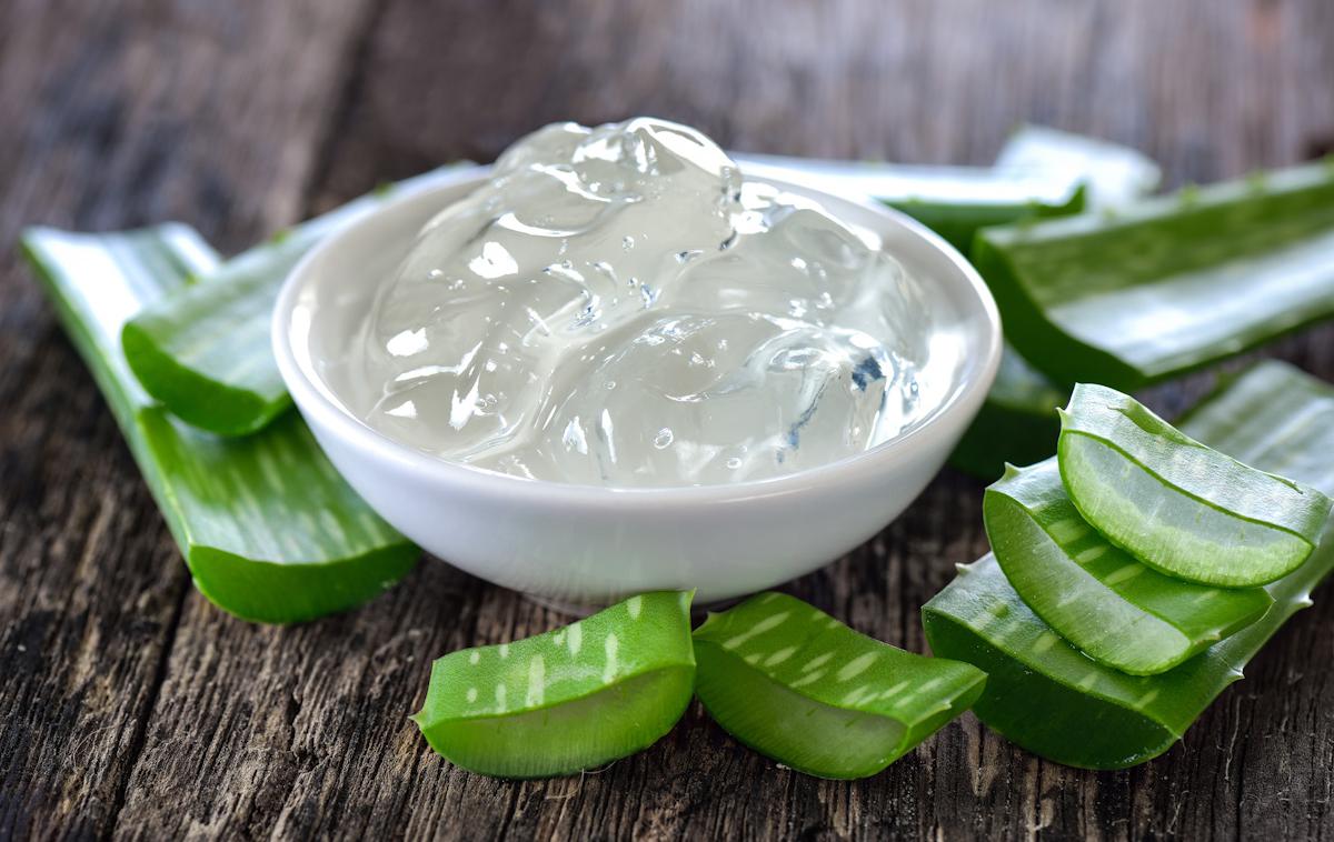 aloe vera | Foto Shutterstock