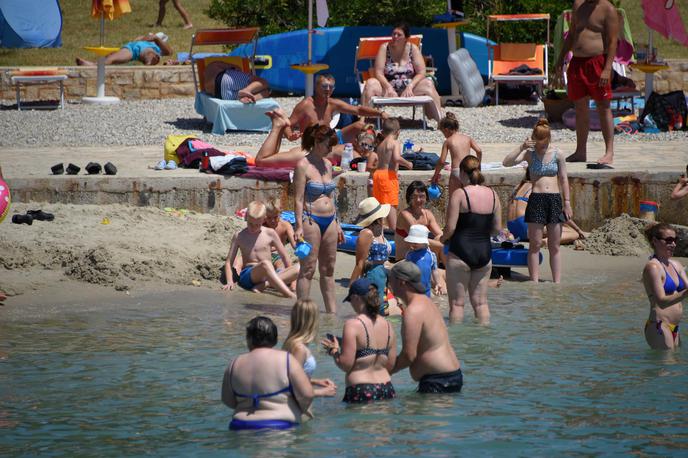rebrače plaže Istra | Število rebrač, po domače sluzkotov, v morju je letos bistveno večje kot v prejšnjih sezonah. | Foto Pixsell