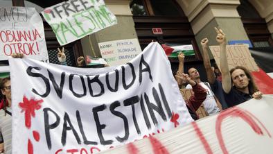 Vladne stranke podpirajo priznanje Palestine