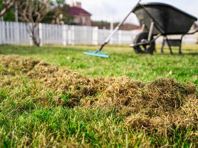 Urejanje vrta: s temi nasveti boste svojo zelenico najbolje pripravili na novo sezono