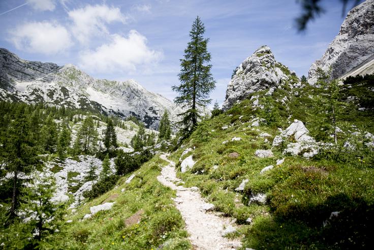 Pot na Zasavsko kočo na Prehodavcih (Prehodavci) Triglavski narodni park se razprostira na severozahodu Slovenije ob meji z Italijo in blizu meje z Avstrijo in obsega 840 kvadratnih kilometrov. | Foto: Ana Kovač