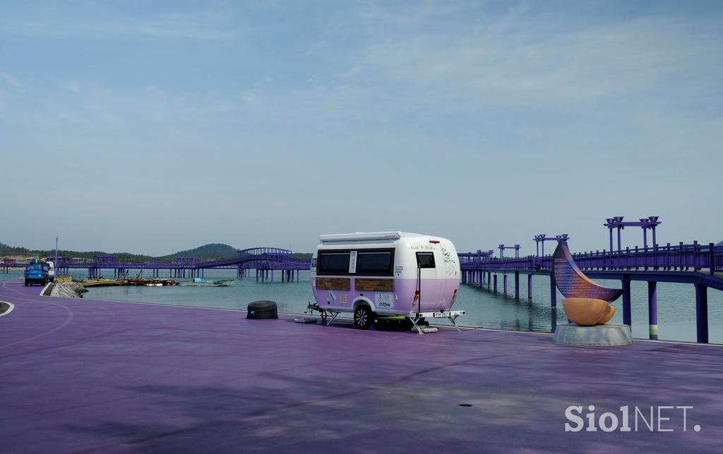 Koreja vijoličasta otoka