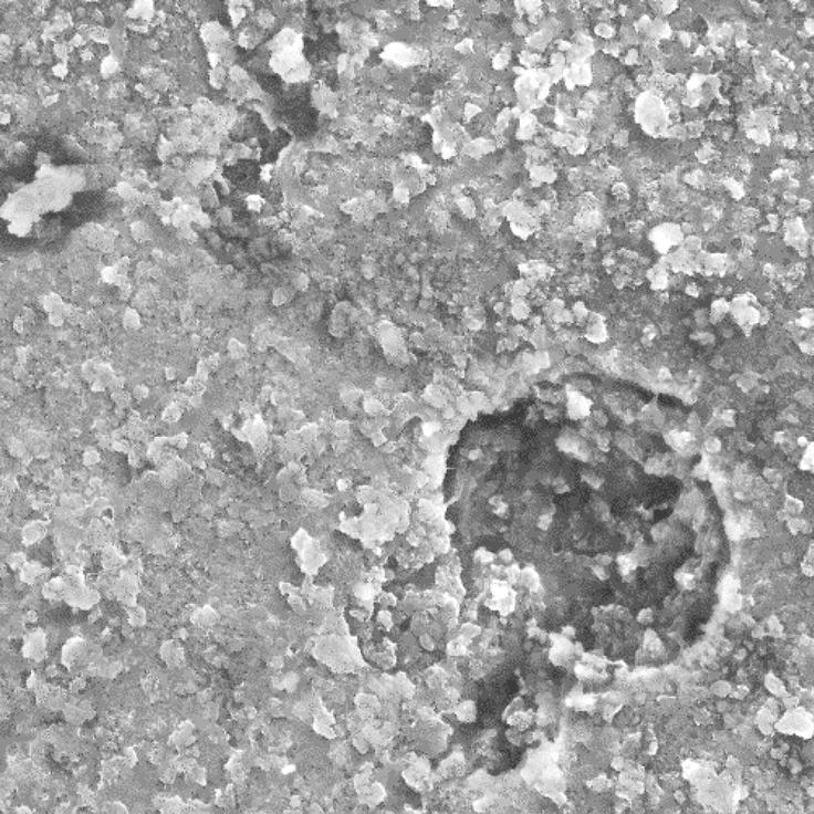 Maha, zobna pasta | Foto: arhiv naročnika