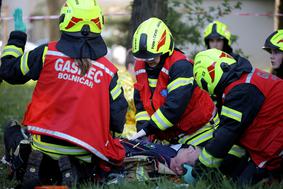 Brez njih bi se življenje, kot ga poznamo, ustavilo