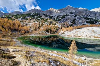Zdaj je čas za zlate macesne. Kje so še poleg Slemenove špice?