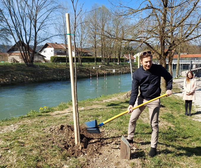 Andraž Vehovar je ob tacenski progi zasadil svoje drevo. | Foto: Boštjan Boh