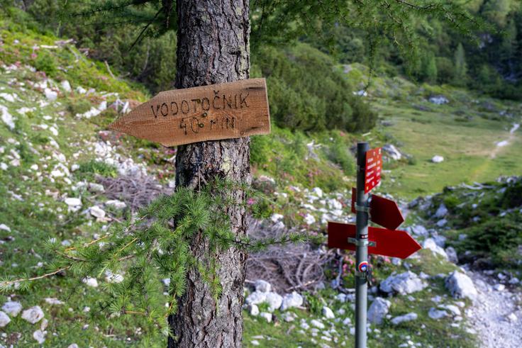 Na tem razpotju krenemo levo za Vodotočnik. | Foto: Matej Podgoršek