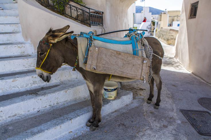 Santorini | Foto: Guliverimage