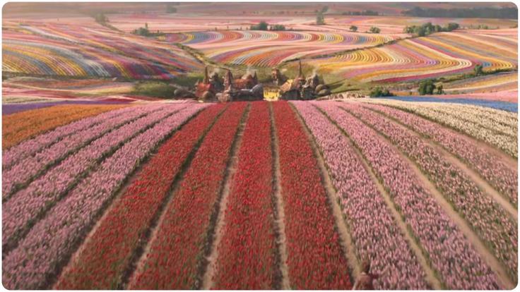 Devet milijonov tulipanov različnih barv so zasadili samo za potrebe snemanja. | Foto: Karantanija cinemas