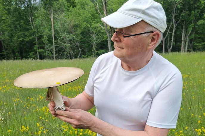 Jože Podboj, kukmak, goba | Že kot otrok je imel rad naravo, ki jo je skozi življenje še bolj raziskoval in se z leti poglobil v proučevanje in zbiranje znanj o gobah, zeliščih in divjih rastlinah. Na fotografiji je Jože Podboj, naš sogovornik, z zajetnim kukmakom. | Foto Jože Podboj, osebni arhiv