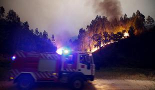 Požar na Portugalskem: ljudje zgoreli v avtomobilih, število žrtev raste #foto