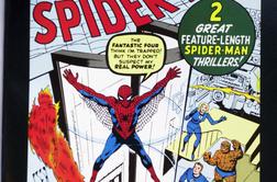 Za toliko so prodali redek izvod prve številke stripa The Amazing Spider-Man
