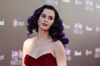 Katy Perry postala obraz čipsa, s katerim hujša