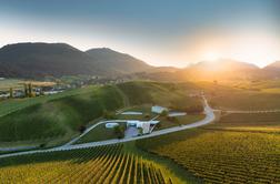 Škalski vinogradi vabijo na večere kina, komedije in vina
