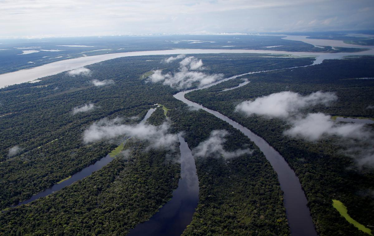 Amazonija | Gre za do zdaj najstarejše najdišče v amazonskem pragozdu. | Foto Reuters