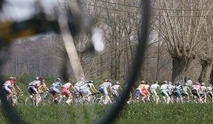 Slovenski profesionalci imajo dobre naslednike
