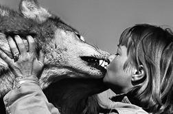 Od poljuba dalje zasvojena z volkovi