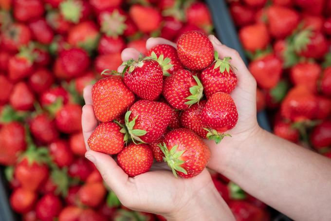 Vaše jagode naj bodo zmrznjene, saj je to ključ do svežine. | Foto: Shutterstock