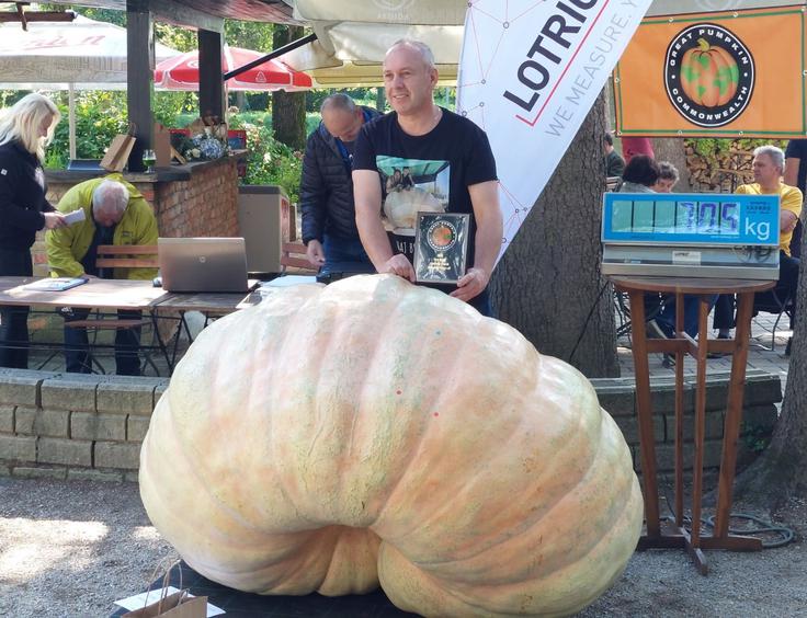 buče velikanke, Mozirje | Foto: Maja Horvat/Mozirski gaj