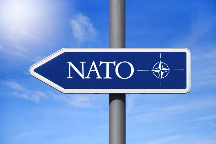 Nato znak | Obrambni ministri zveze Nato bodo razpravljali o ključnih odločitvah vrha v Haagu. | Foto Guliverimage