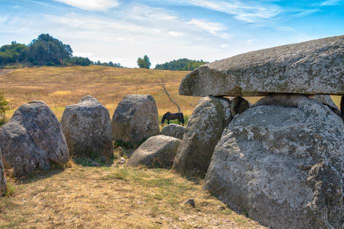 Danska, najdba, Poskaer kamnita hiša | Danski arheologi zdaj poskušajo ugotoviti, ali tudi v Aarsu obstaja še en krog. (Fotografija je simbolična.) | Foto Shutterstock