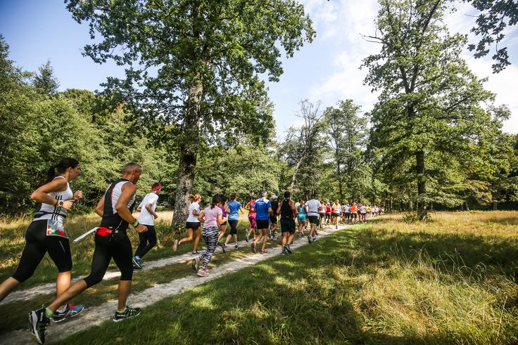 Protokolarni park Brdo pri Kranju je bil danes rezerviran za tekače. | Foto: Mediaspeed