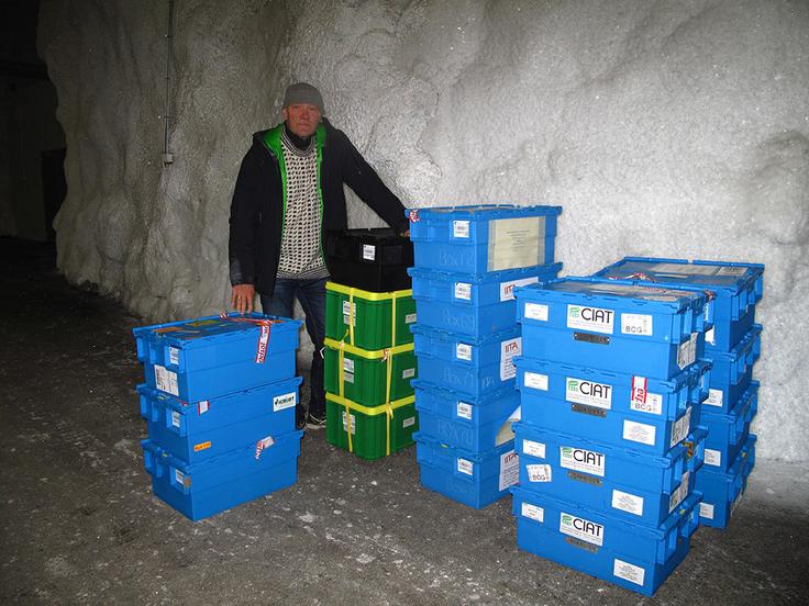 Če bi stroji, ki dodatno ohlajajo semensko banko, prenehali delovati, to ne bi bila največja katastrofa. Ker ga obdaja permafrost, večno zmrznjena zemlja in skala, je temperatura v bunkerju ves čas pod ničlo. Tudi če klimatskih naprav ne bi popravil nihče, bi bila semena uporabna še čez dvesto let. | Foto: Facebook