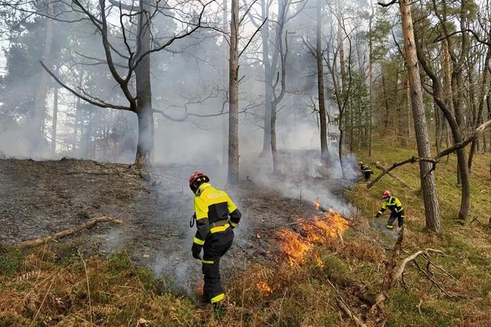 požar Debni vrh gasilci PGD Sostro | V zadnjih dneh je bilo po Sloveniji več požarov zaradi kurjenja odpadnega vejevja, poleg teh pa so se gasilci spopadli tudi z večjimi požari, pri katerih vzrok ni znan. | Foto PGD Sostro