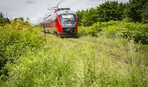 Pred železniško postajo Bled vlak do smrti povozil osebo