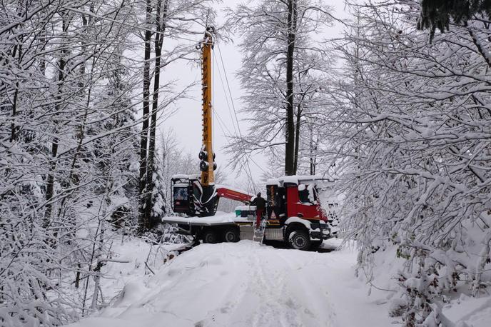 sneg, gozd | Vreme bo pestro tudi konec tedna, napovedujejo vremenoslovci.  | Foto Slovenski državni gozdovi/Facebook