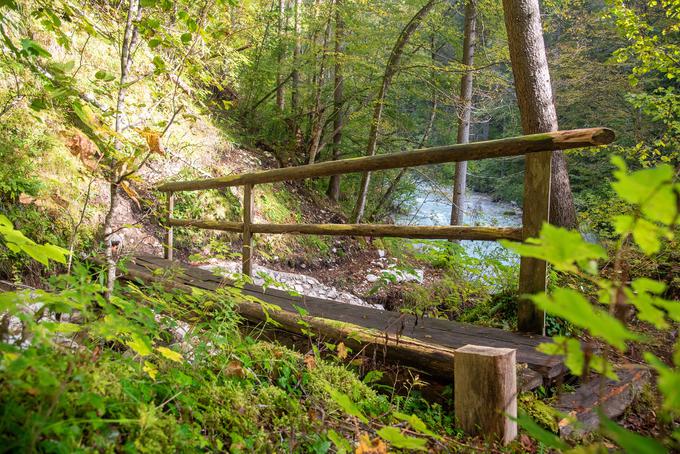 Koželjeva pot | Foto: Zavarovalnica Triglav