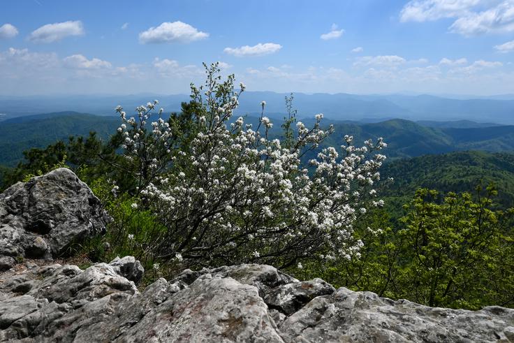 Polhograjska Grmada | Foto: Matej Podgoršek