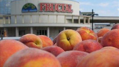 Fructal najboljša blagovna znamka 2010 po izboru potrošnikov