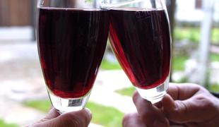Vinske razprtije: Slovenci nad predstavitev hrvaških vin v Rimu