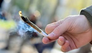 Bo nova vlada legalizirala kajenje marihuane?