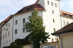 Grofje Celjski so se končno vrnili domov