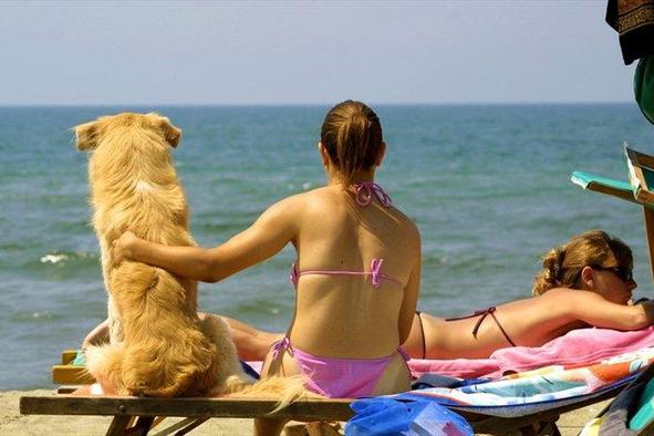 Plaže, kjer se lahko namočijo tudi kosmatinci