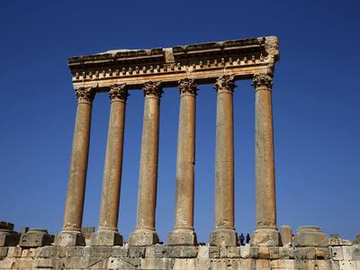 Divja skrivnost je razvozlana