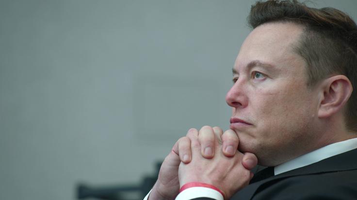 Ali Bannon upa, da bo Musk s svojimi milijardami in družbenim omrežjem X, ki bo delalo v korist desnice, lahko omogočil padce sredinskih, desnosredinskih in levosredinskih vlad po Evropi? | Foto: Guliverimage