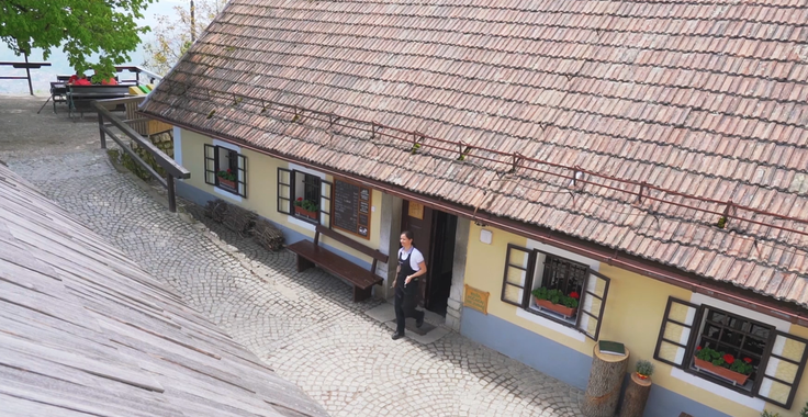"Že kot majhna deklica sem pri manjših opravilih pomagala mami." | Foto: zajem zaslona/Diamond villas resort