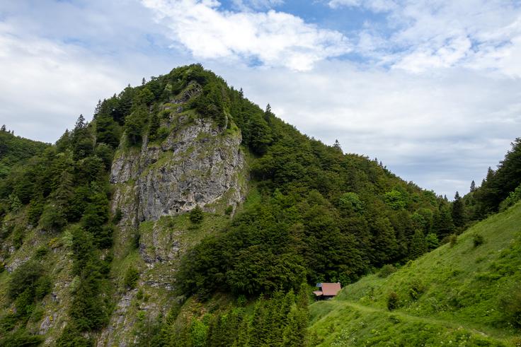 Nezahteven vzpon iz Podbrda vodi do lovske koče in razgledišča na sedlu Vrh Bače. Vzame dve uri. | Foto: Matej Podgoršek
