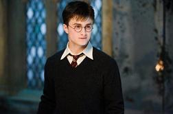 Sveta Harryja Potterja (še) ni konec …