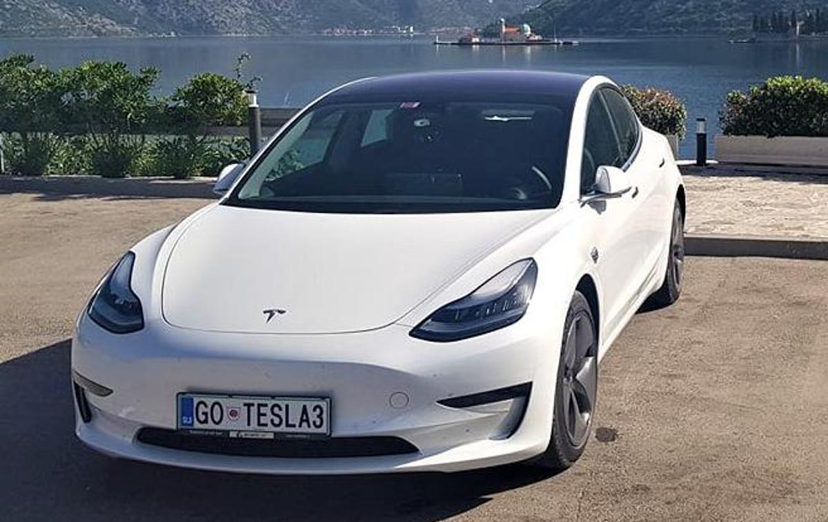 tesla 3 | V Nemčiji so dvignili subvencije za nakup električnega vozila, zato se je med epidemijo veliko ljudi odločilo za nakup električnega avta. | Foto Društvo DEMS