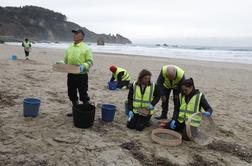 Obala severne Španije polna plastičnih delcev. Grozi okoljska katastrofa?
