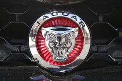 Jaguar se je vrnil v avtomobilistični šport