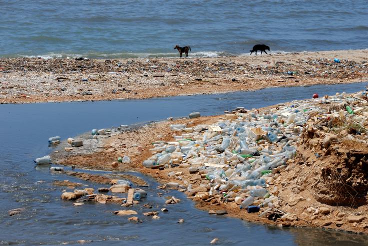 Kajfež Bogatajeva opozarja, da ne smemo pozabiti na vso plastiko, ki onesnažuje morja, mikroplastika pa prehaja v prehranjevalno verigo in še dodatno slabi morske organizme. | Foto: Reuters