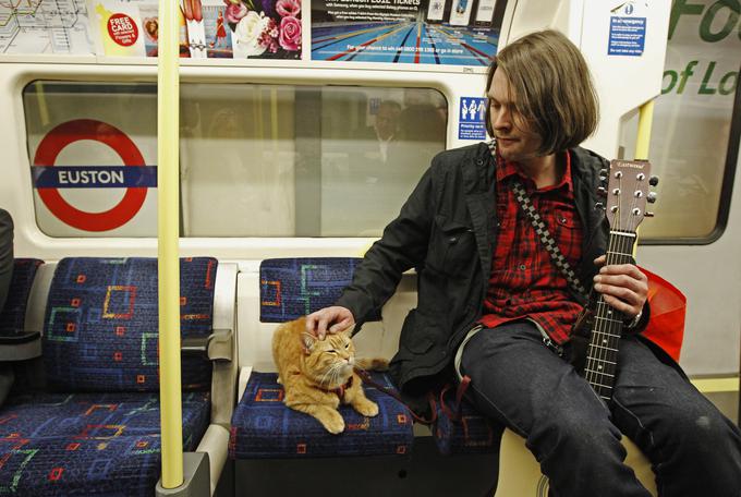 Potepuški maček Bob | Foto: Reuters