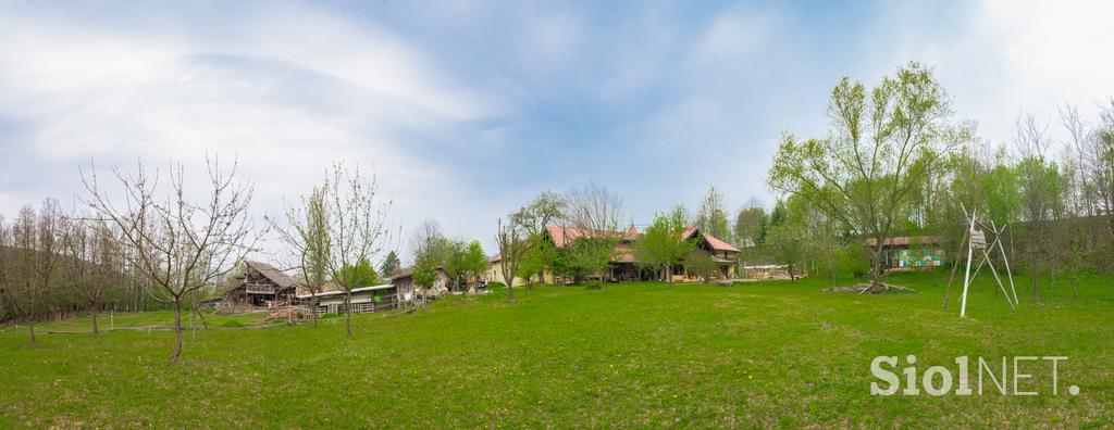 Herman Kisilak Čebelji gradič med čebele kmetija turizem Prekmurje Rogašovci