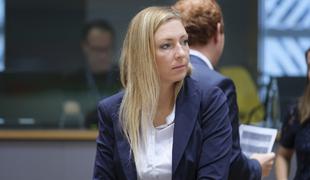 Vlada sprejela zakon za konec baterijske reje kokoši in čipiranje mačk