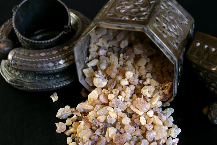 Raziskovalci opozarjajo, da bi se lahko v naslednjih 20 letih svetovna proizvodnja kadila prepolovila. | Foto: Shutterstock